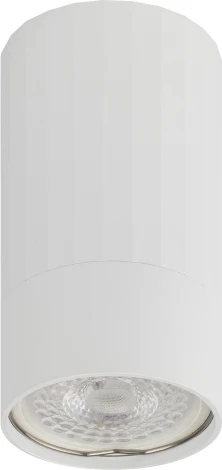 Точечный светильник ЭРА OL32 WH (220V)