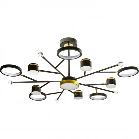 Потолочная люстра на штанге светодиодная Ritter Notte 51596 2