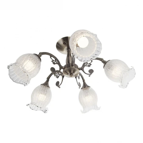 Потолочная люстра IDLamp Ernest 288/5PF-Oldbronze