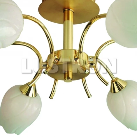 Потолочная люстра Arte Lamp Tulip A8292PL-6PB