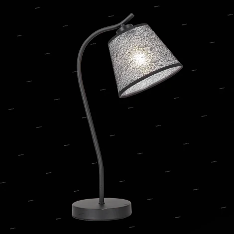 Интерьерная настольная лампа ST Luce Tabella SL964.404.01