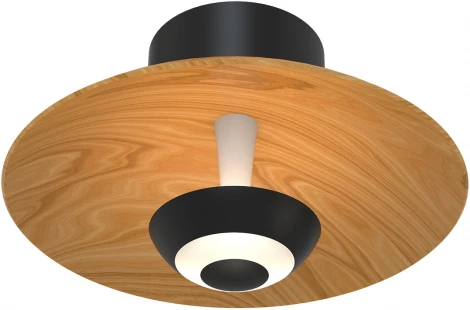 Настенный светильник Favourite Rueda 4288-1W (LED, 220V, круглые)