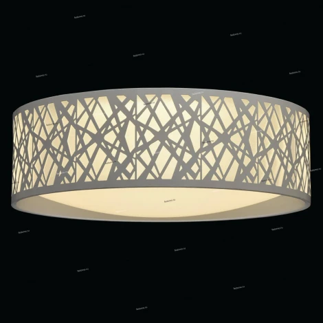 Потолочный светильник DeMarkt Ривз 674012501