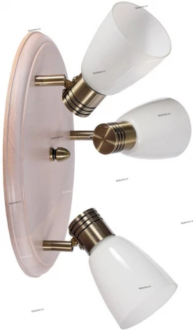 Спот Дубравия Анри 150-11-13