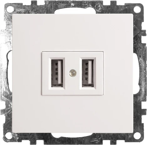 Розетка с USBх2 (белый) Stekker Катрин 39686