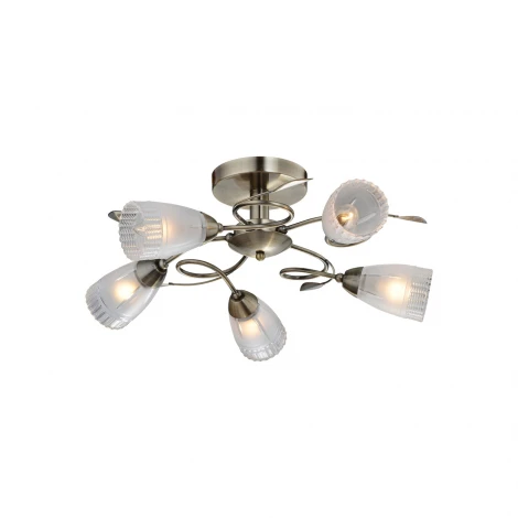 Потолочная люстра IDLamp Selveggiya 858/5PF-Oldbronze