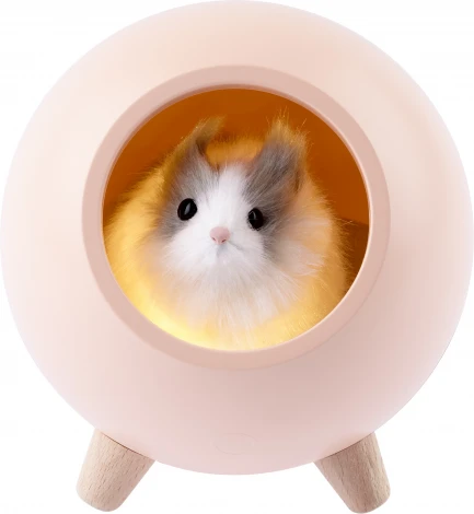 Ночник светодиодный с выключателем регулировкой яркости и зарядкой от USB ЭРА NLED-468-1W-P