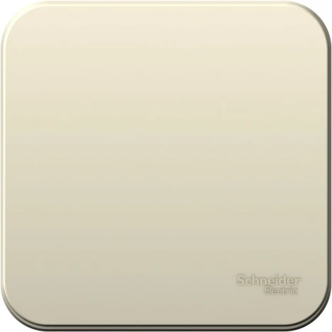 Выключатель накладной одноклавишный (молочный) Systeme Electric Blanca BLNVA061012