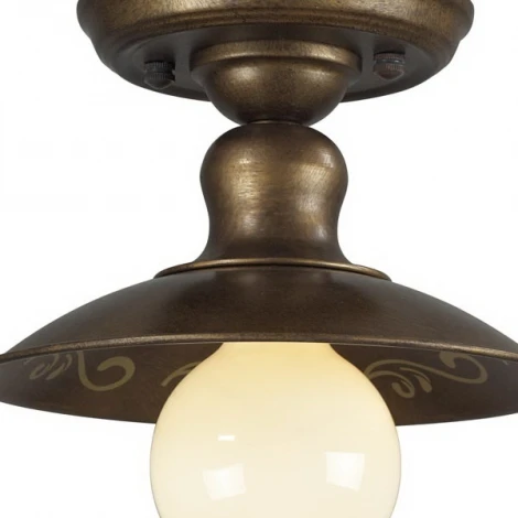 Потолочный светильник круглый Favourite Magrib 1214-1U (220V)