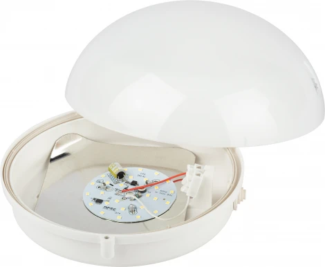 Настенно-потолочный светильник светодиодный ЭРА ДБП 06-12-012 (220V, круглые, IP54)