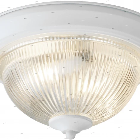 Потолочный светильник Arte Lamp Aqua-plate A9370PL-2WH