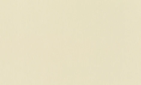 Обои виниловые Rasch Maximum XIV 806007 10 x 1,06 м
