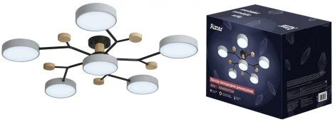 Потолочная люстра светодиодная на штанге с ДУ Ritter Scandia 52079 5