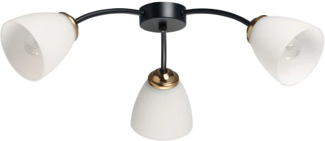 Потолочная люстра De City Нежность 676016903