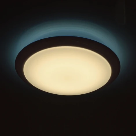 Потолочный светильник MW-Light Ривз 674014201