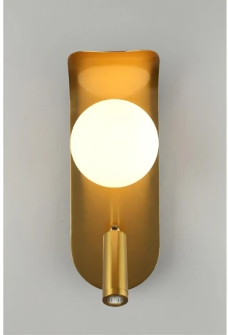 Настенный светильник LED Aployt Zofka APL.345.11.02 (220V, шар)