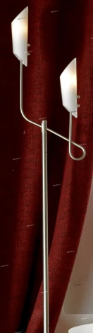 Торшер Lussole Belluno LSF-6915-02