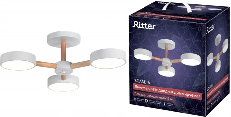 Потолочная люстра светодиодная на штанге с ДУ Ritter Scandia 51589 4