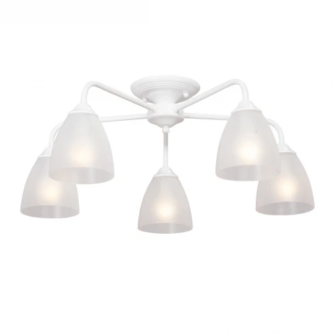 Потолочная люстра Vitaluce V3946-0/5PL (220V)