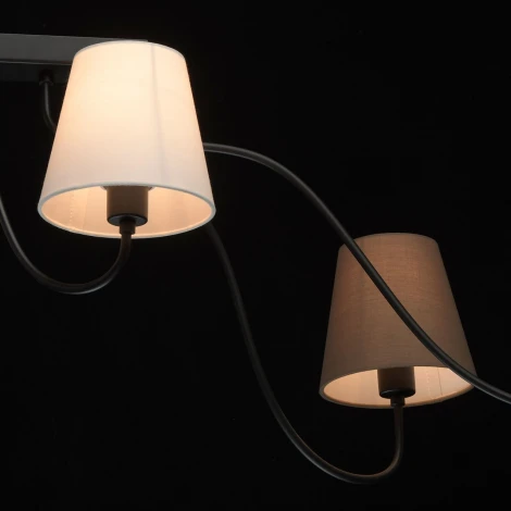 Потолочная люстра MW-Light Эйберген 723010106