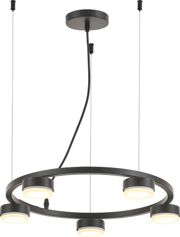 Подвесной светильник Rivoli Leontina 4136-305 (220V, на тросе)