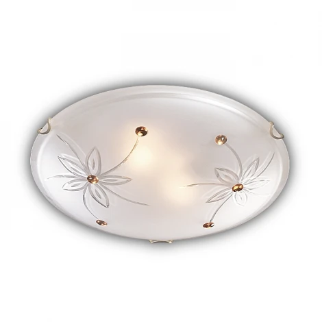 Настенно-потолочный светильник Sonex Floret 149/K