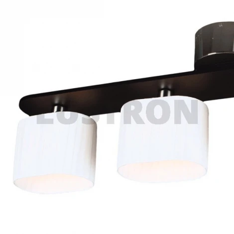 Потолочная люстра MW-Light Николь 364010404