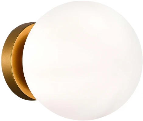 Настенно-потолочный светильник Acini SL717.201.01 Evoluce