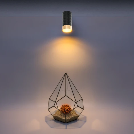 Точечный светильник накладной Wolta WSL-GU10/10BG под лампу GU10 Черный / Золотой CELLA