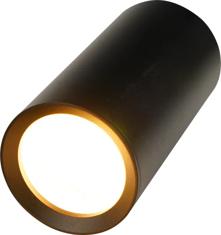 Накладной светильник Brizzi Aras BR08094