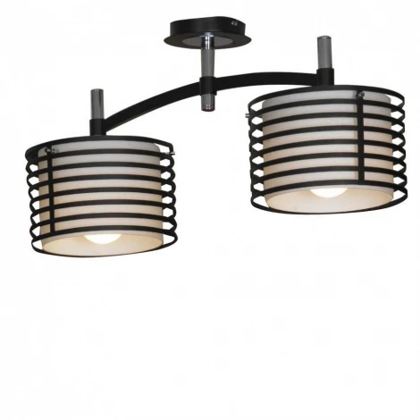 Потолочная люстра Lussole Busachi LSF-8203-02