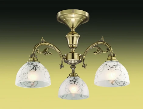 Потолочная люстра Odeon Light Casti 2542/3C