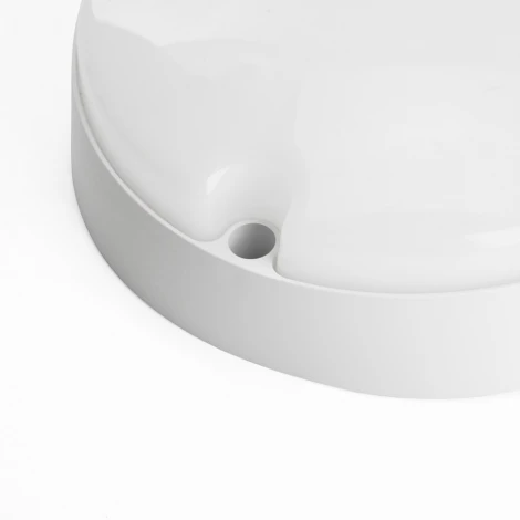 Настенно-потолочный светильник Feron 51512