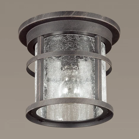 Потолочный светильник уличный Odeon Light Virta 4044/1C (220V, IP44)