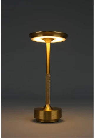 Настольная лампа светодиодная Omnilux OML-40414-01 (220V)