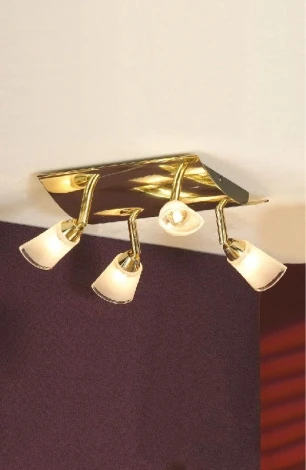 Потолочный светильник Lussole Rasen LSL-5001-04
