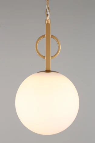 Подвесной светильник Aployt Gracia APL.751.06.01 (220V, на цепи, шар)