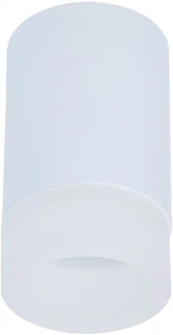 Точечный светильник накладной Imex Leon IL.0005.1500 WH (220V, круглые)