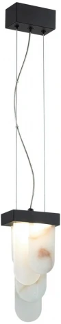 Подвесной светильник Odeon Light Foros 5438/12L черный/металл/ смола под алебастр /акрил LED 12W 3000K (220V, на тросе)