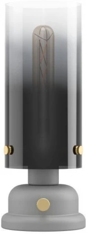 Настольная лампа Eglo Gargrave 43929 (220V, выключатель, круглые)