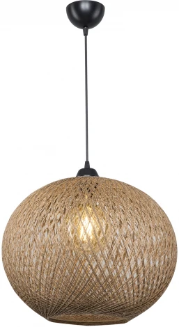 Подвесной светильник TopLight Lizbeth TL1612H-01BG