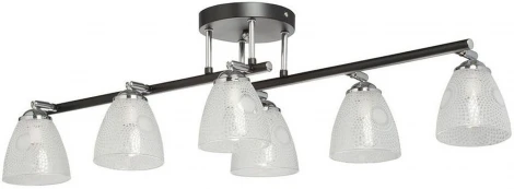 Потолочная люстра на штанге MW-Light Тетро 673017106 (220V)