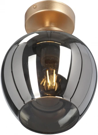 Потолочный светильник круглый Vitaluce V3034-8/1PL, 1xE27 макс. 40Вт (220V)