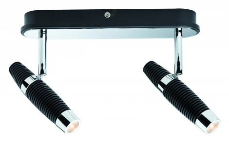 Спот Paulmann Channel 60159