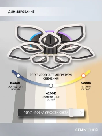 Потолочная люстра Seven Fires Feri SF5029/11C-BK-RGB
