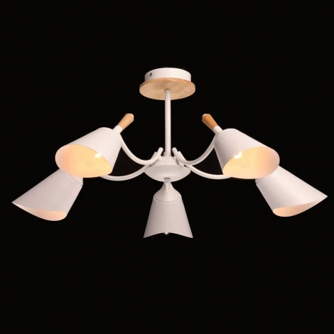 Потолочная люстра на штанге De City Дэла 635014805 (220V)