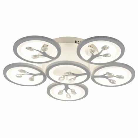 Потолочная люстра F-Promo Ramus 2390-6U