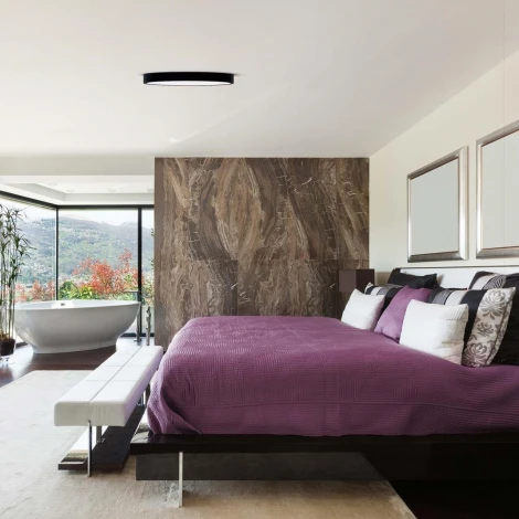 Потолочный светильник круглый F-Promo Arena 4685-8C (регулировка яркости, LED, 220V, пульт управления, круглые)