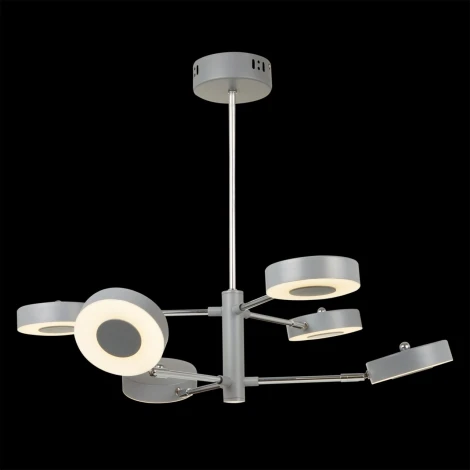 Потолочная люстра Freya Gabby FR6009PL-L66GR