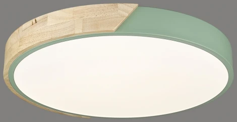 Потолочный светильник круглый Velante 445-427-01 (LED, 220V, круглые)